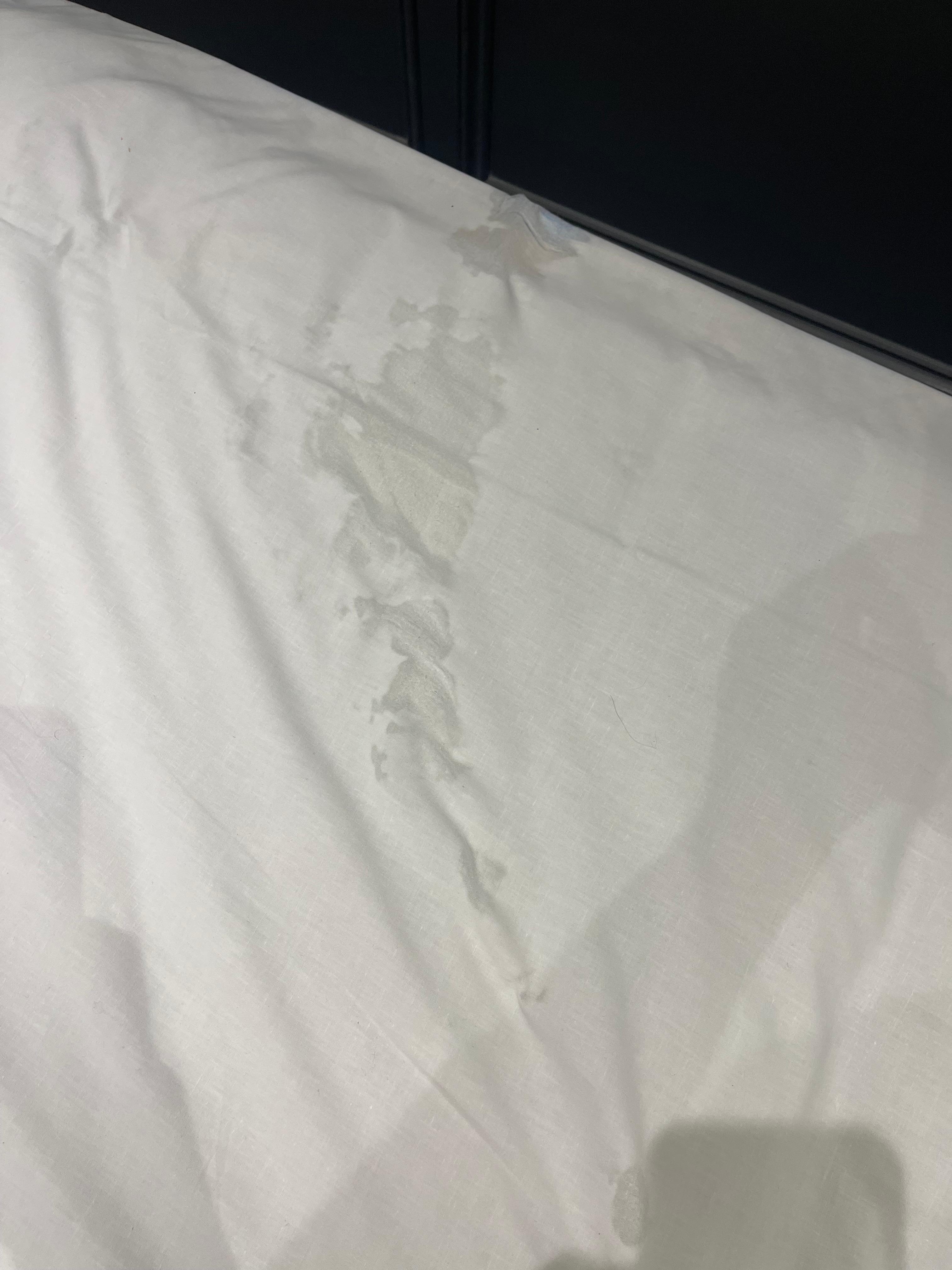 Chewed mattress pad underneath 