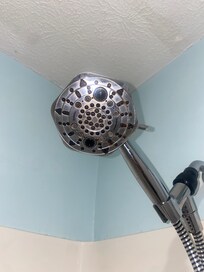 MOLD!!!!