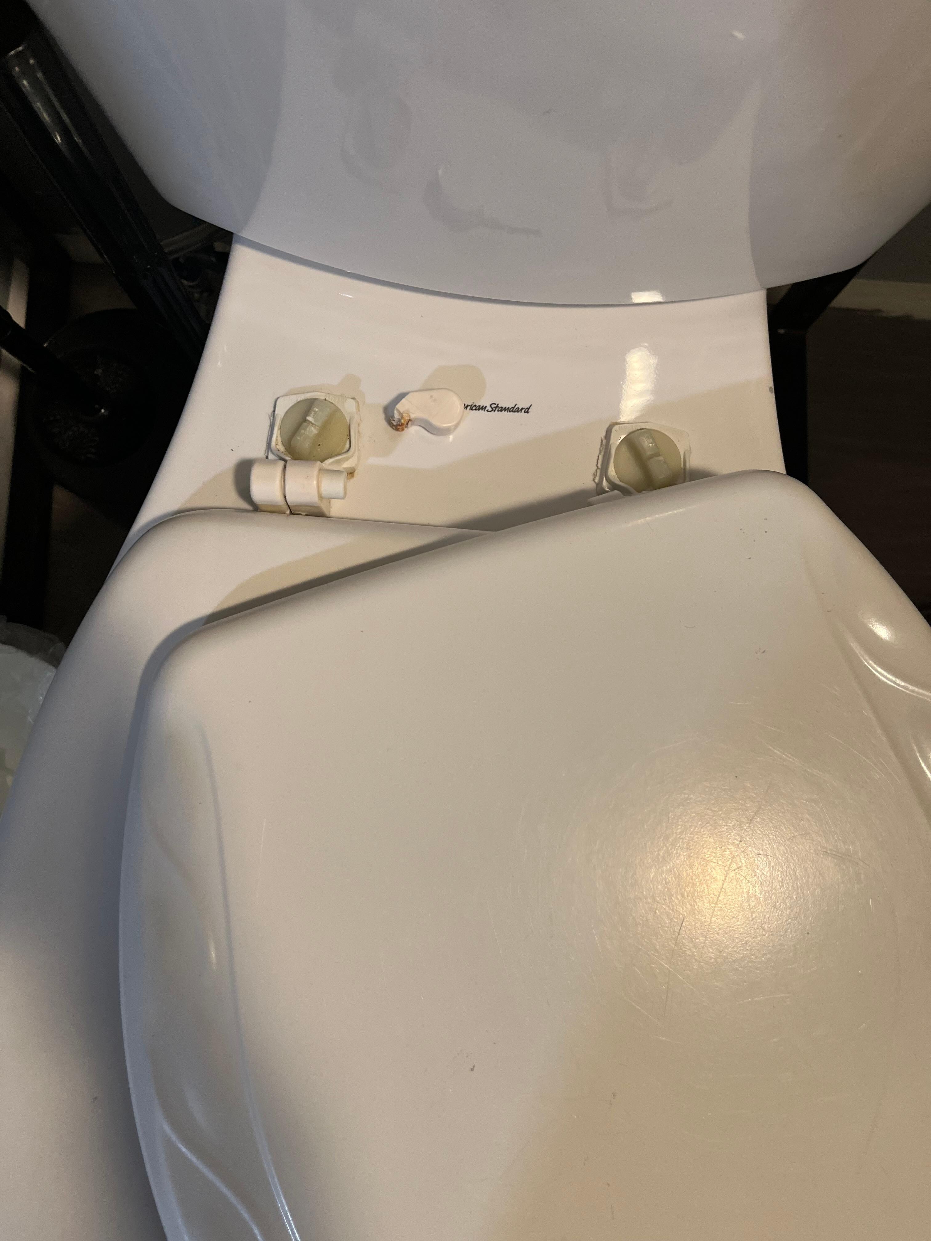 Broken toilet seat and lid