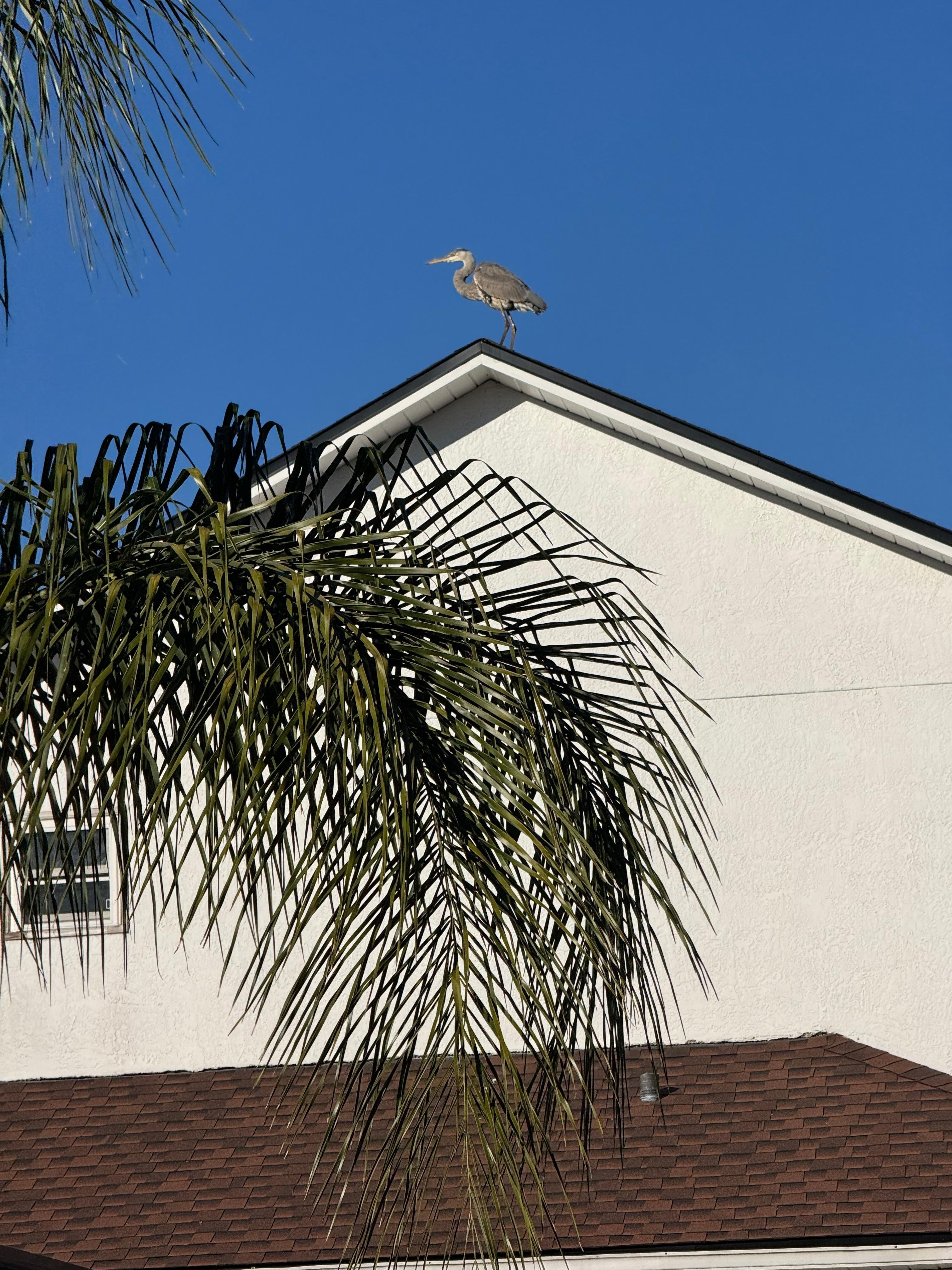 If you like bird watching, this is the place. 