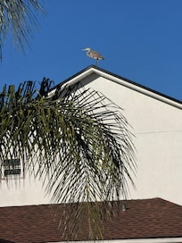 If you like bird watching, this is the place.