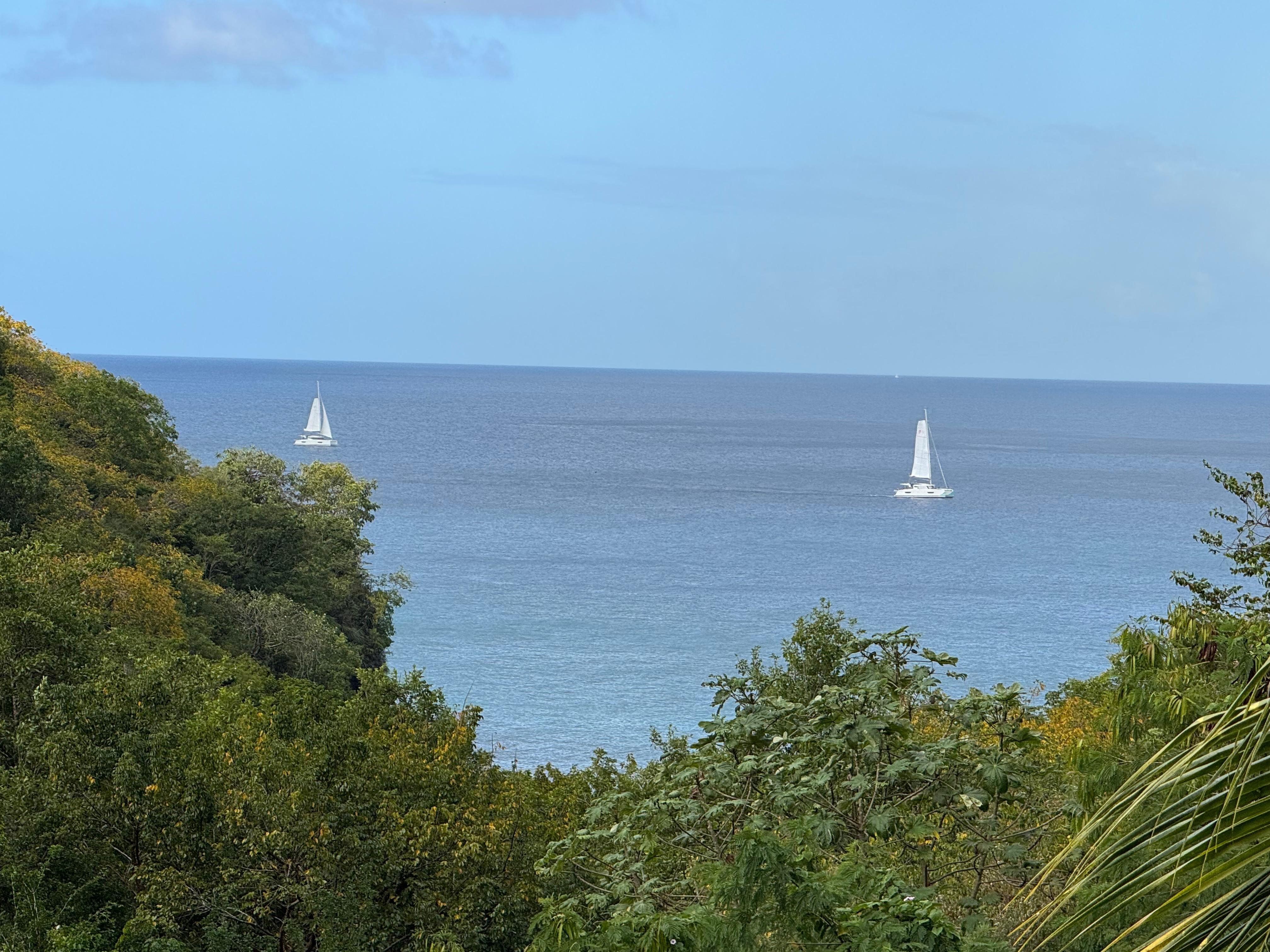 Looking out from the lanai
