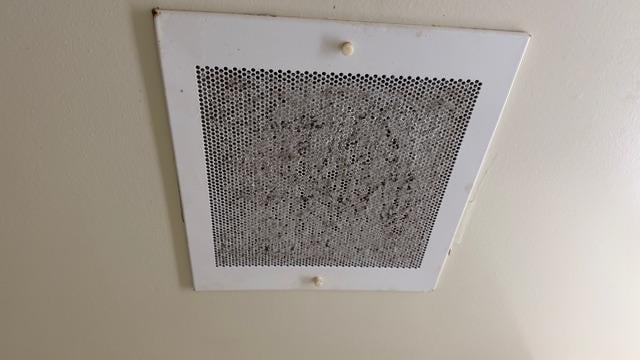 bathroom vent