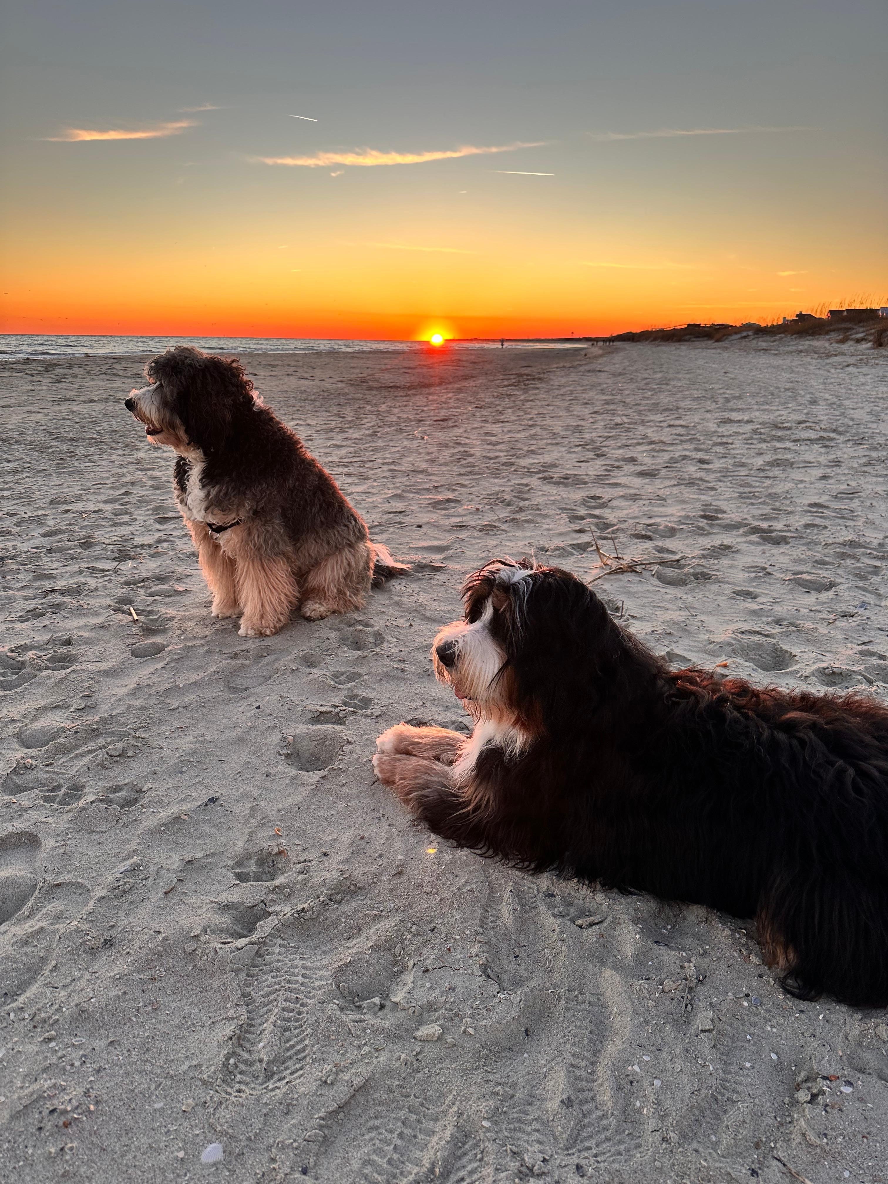 Final sunset of 2025