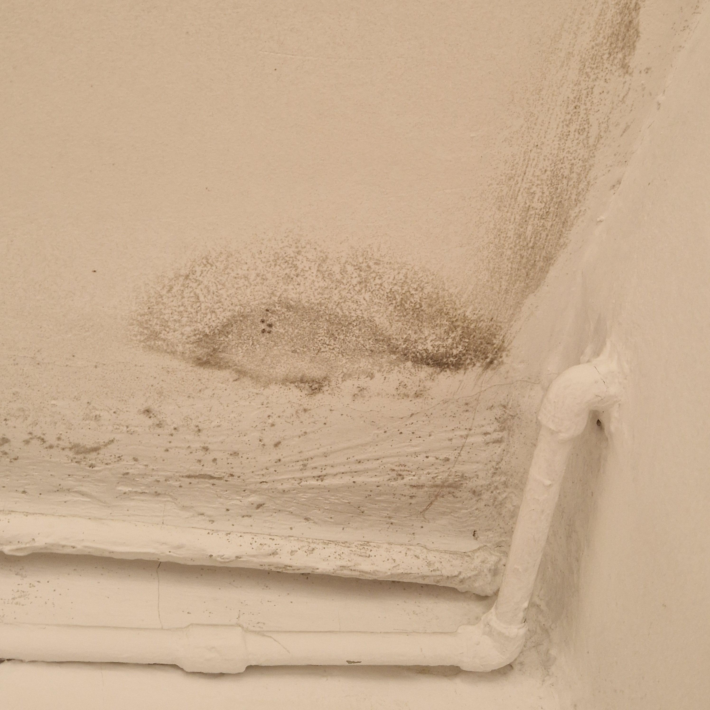 Pas de ventilation. Humidité 