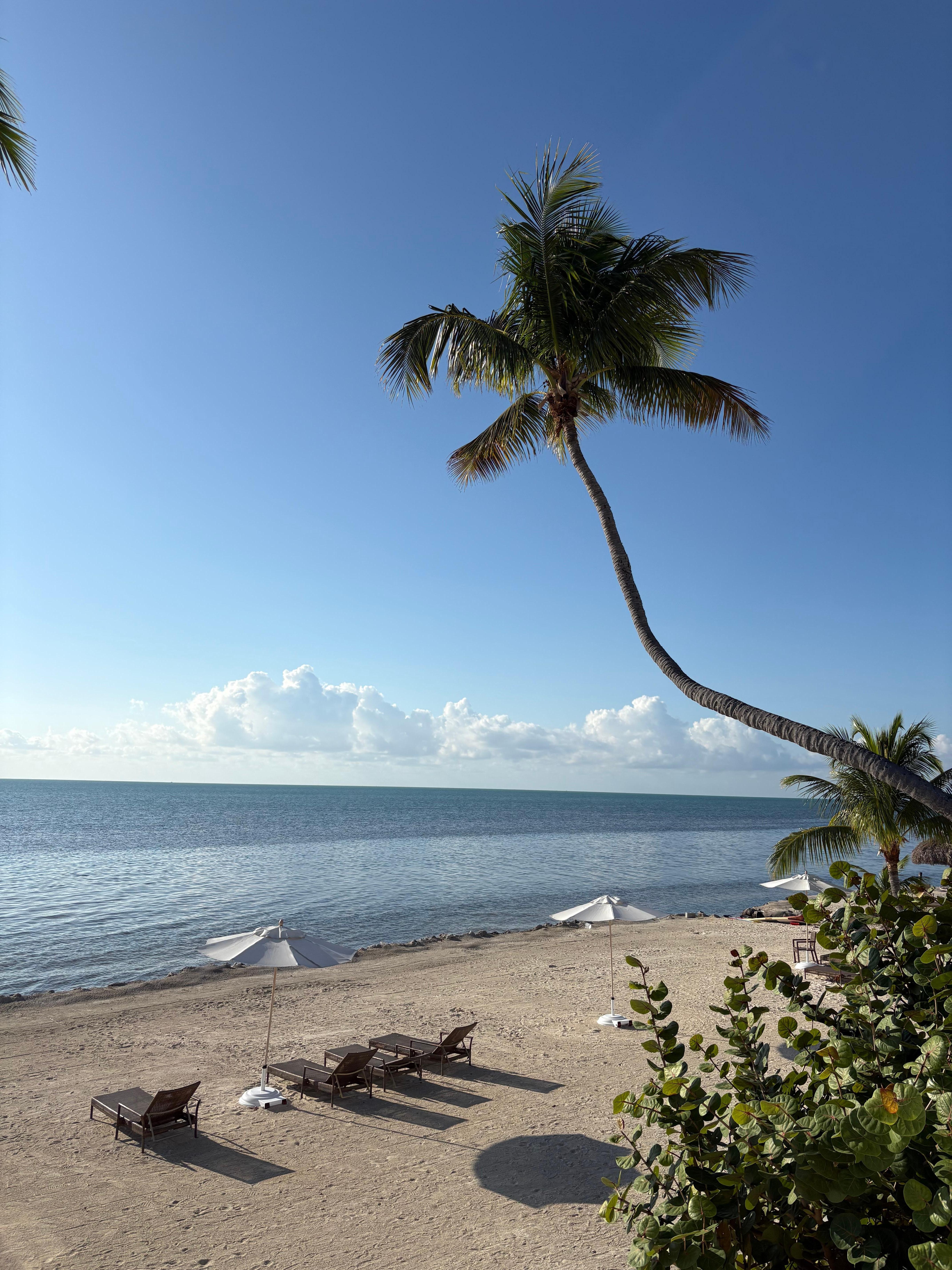 View from the restaurant 