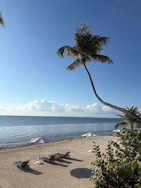 View from the restaurant