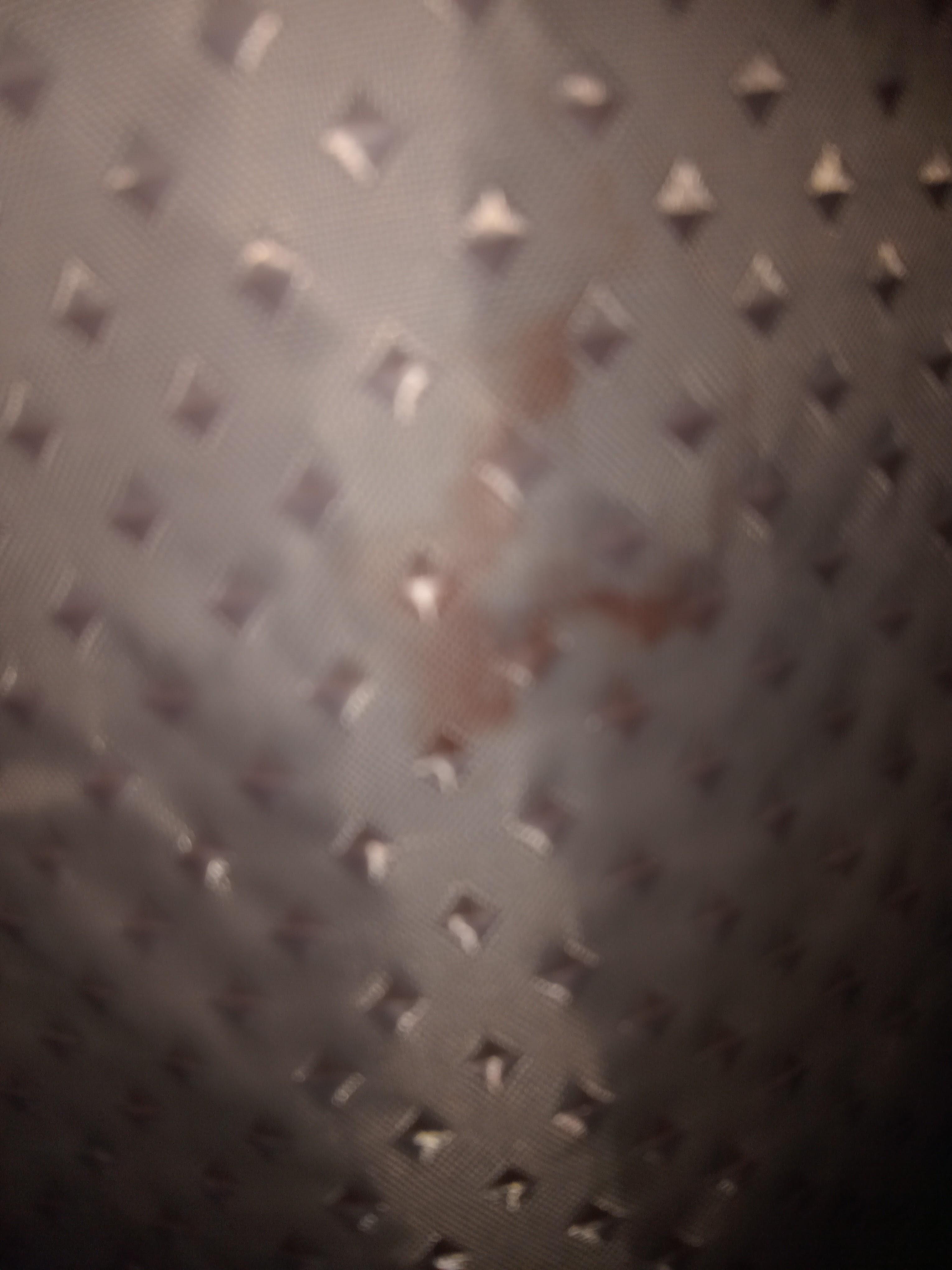 Blood on shower curtain