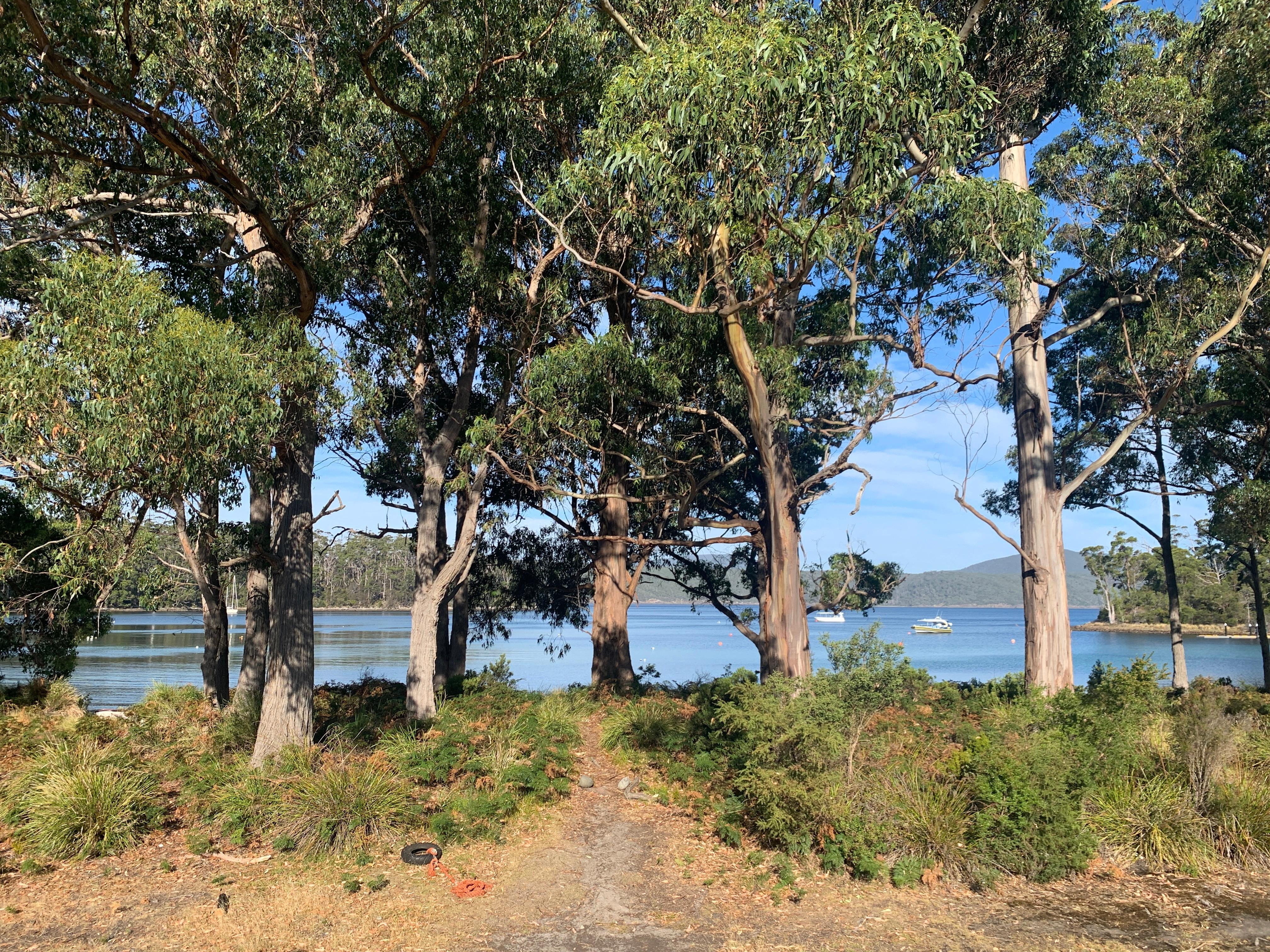 View from the deck upstairs 