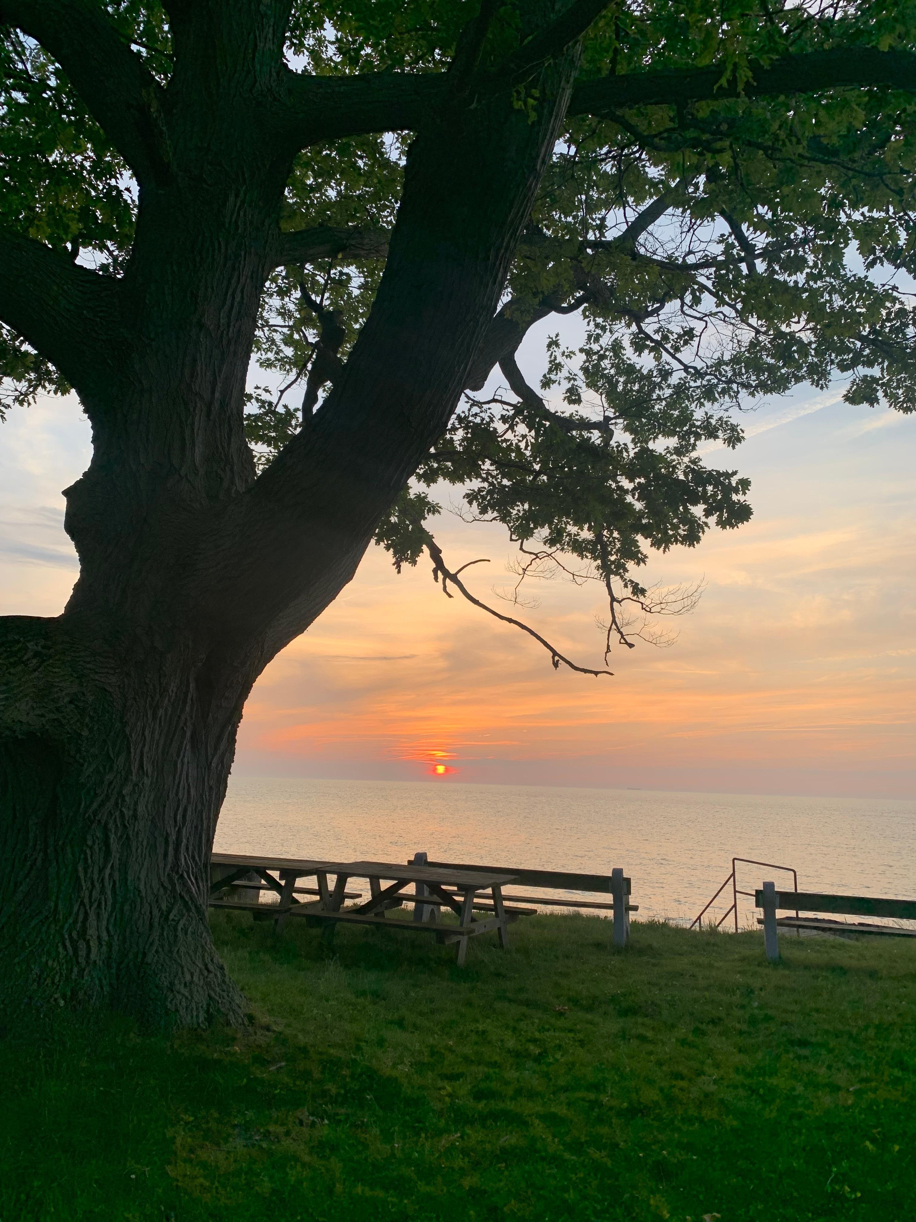 Great place to make memories 