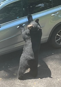 I thought it was lockedâŠ