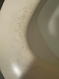 Toilet covered in Mold!