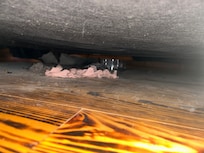 Found a pair of woman panties under the bed! Gross! Under the bed needs to be swept. Itâs so dusty that the old panties has dust on them.