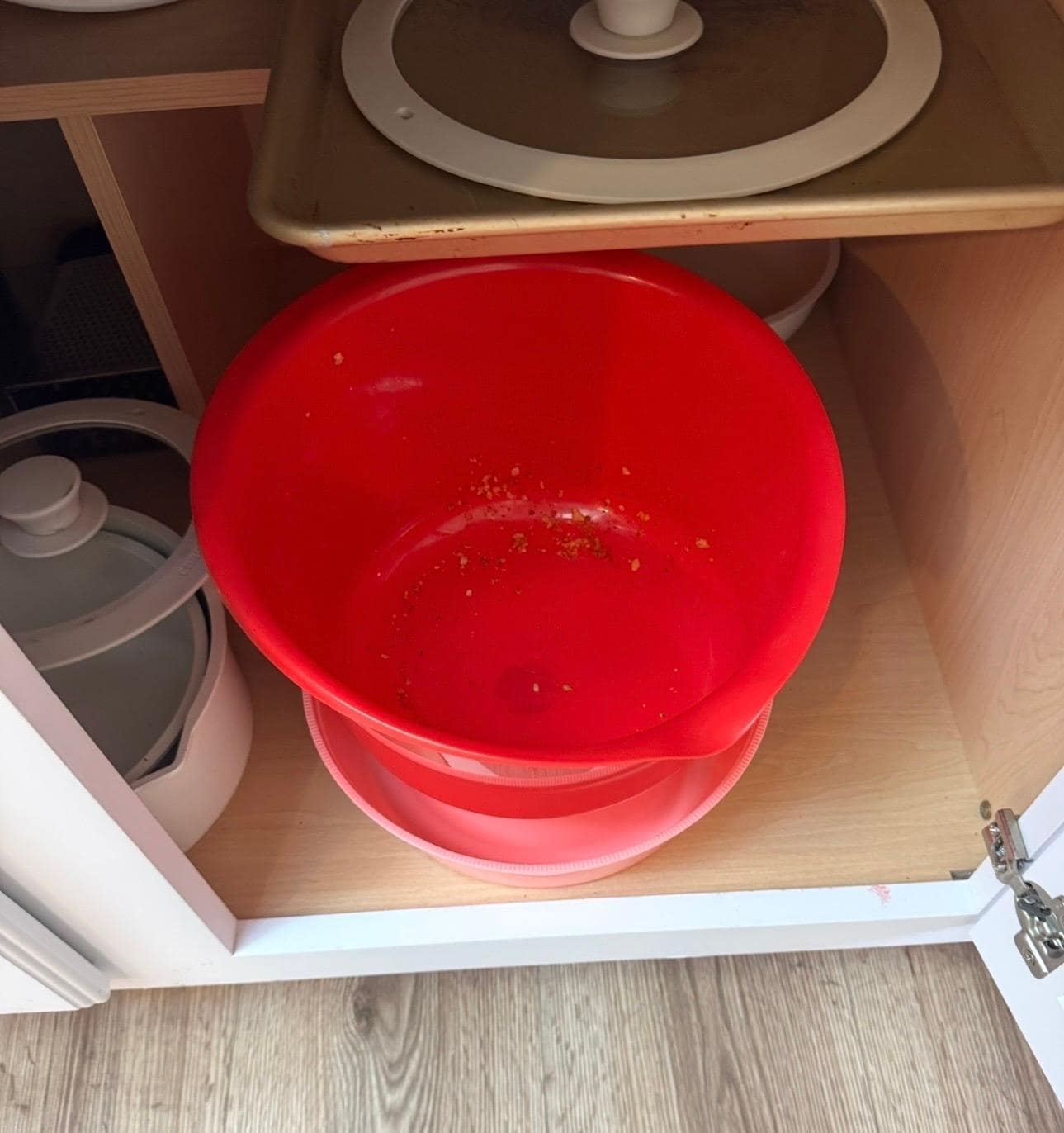 Containers in Cabinet Dirty