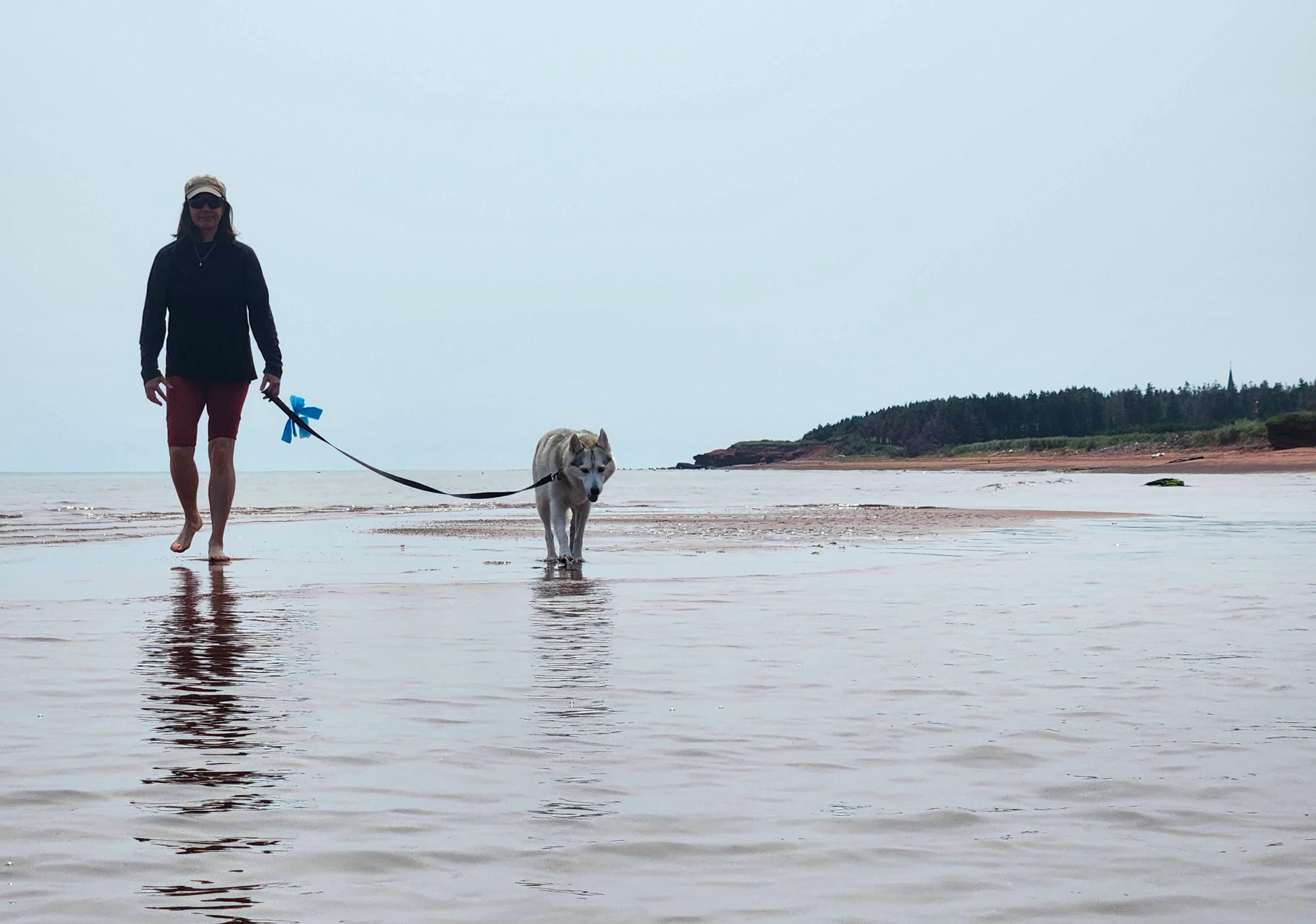Low tide
