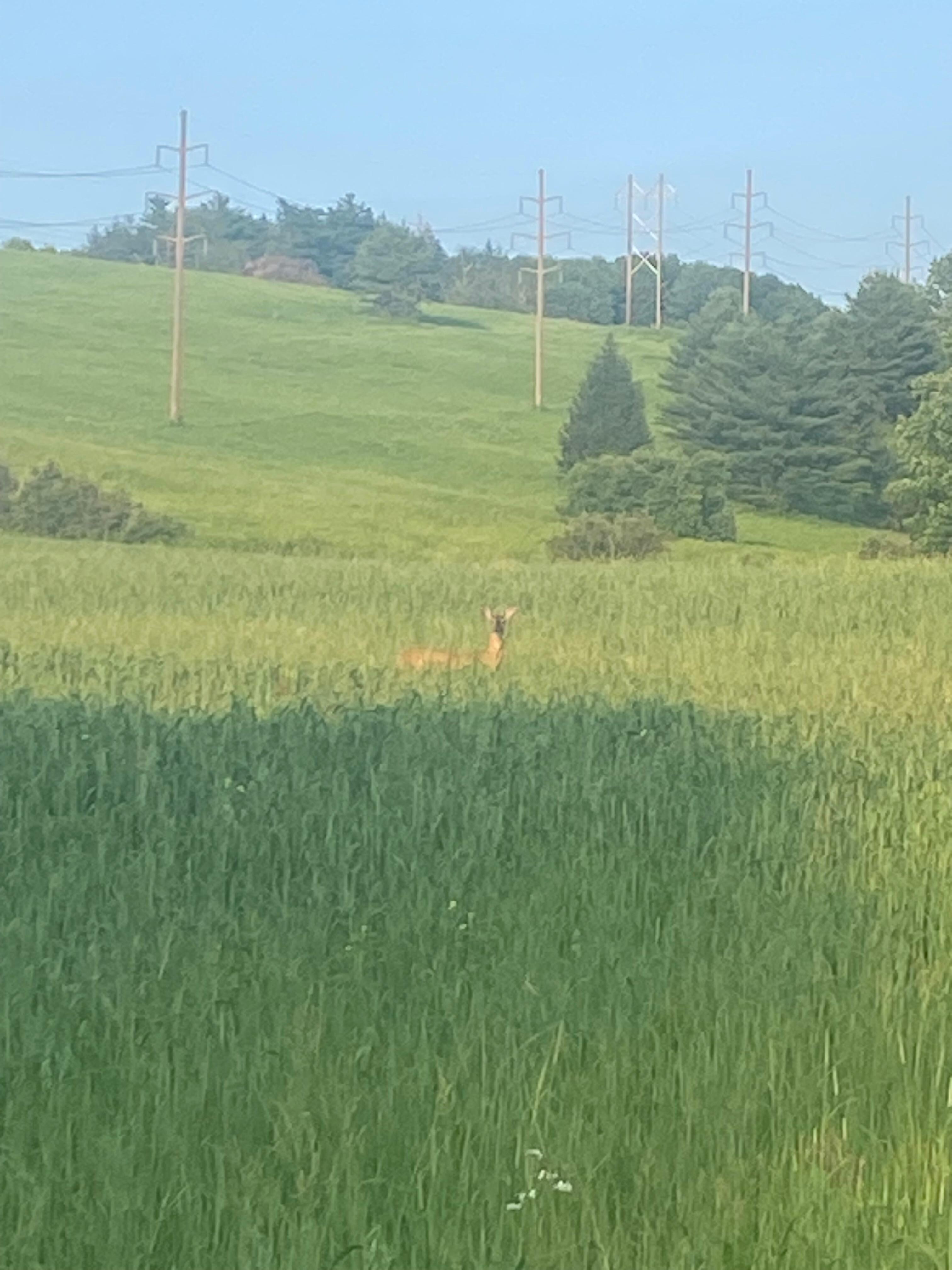 A you find our friend?