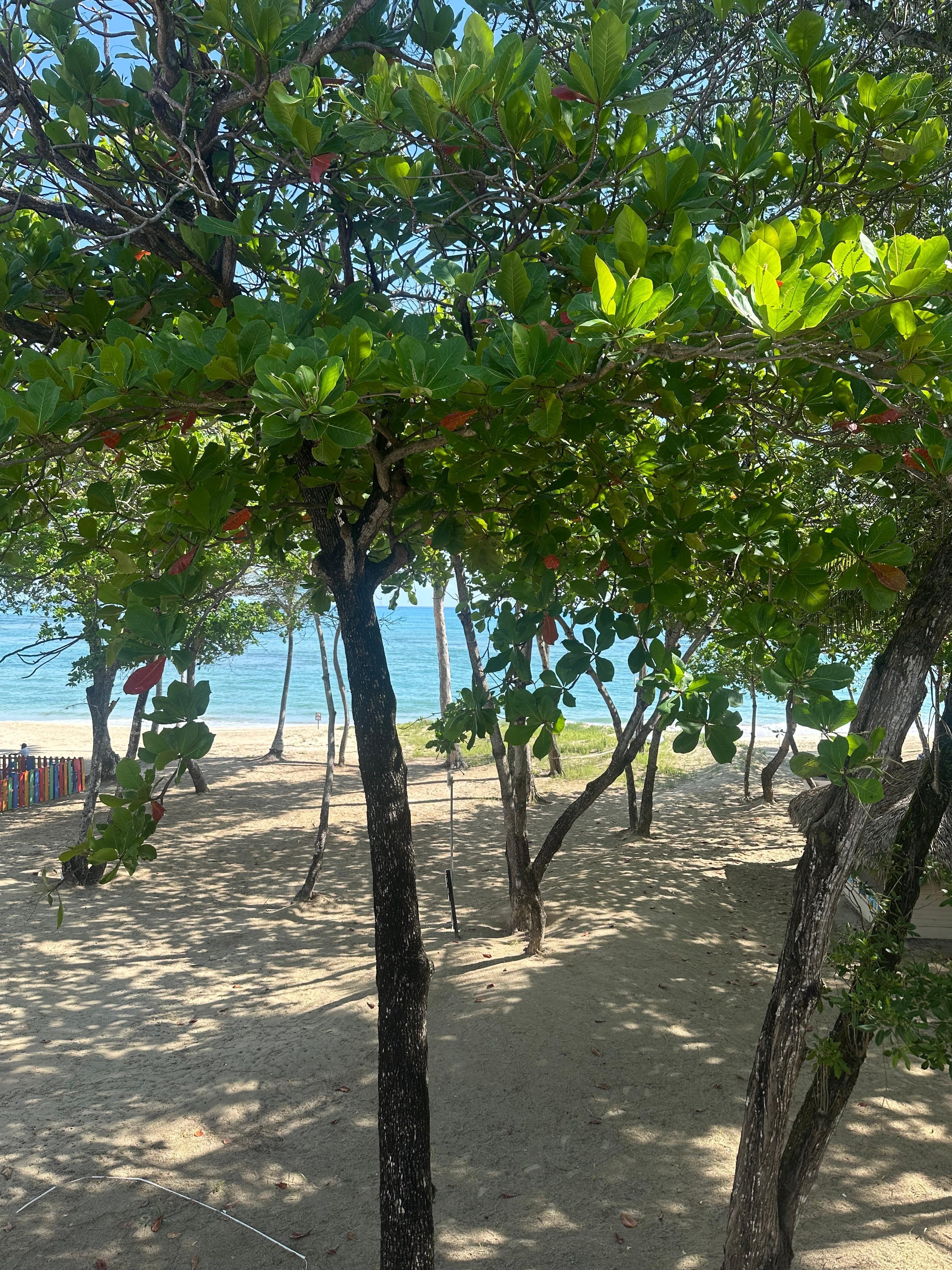 Ocean view from my room