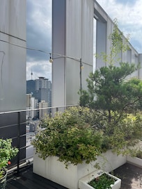 Rooftop terrace