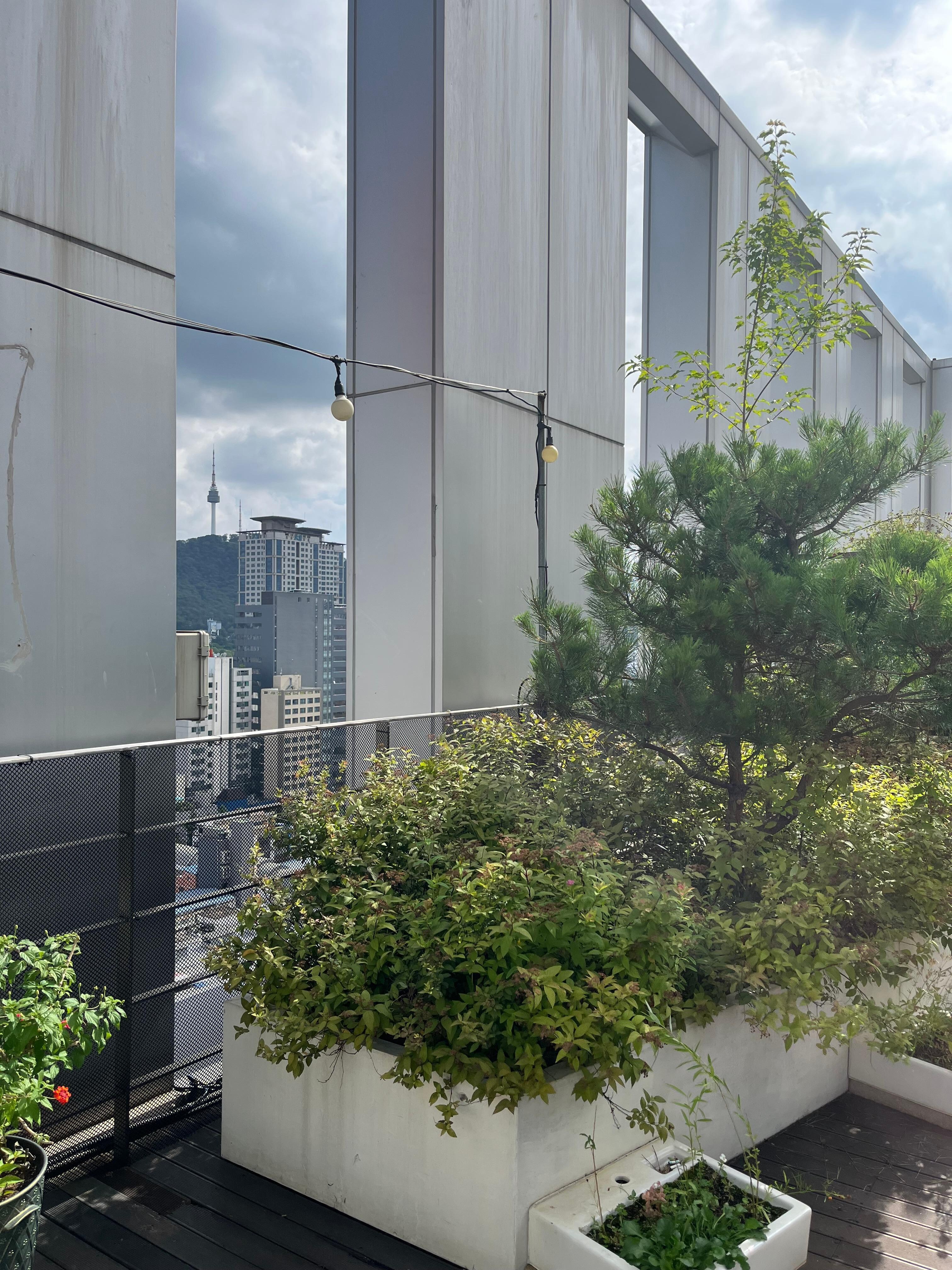 Rooftop terrace 