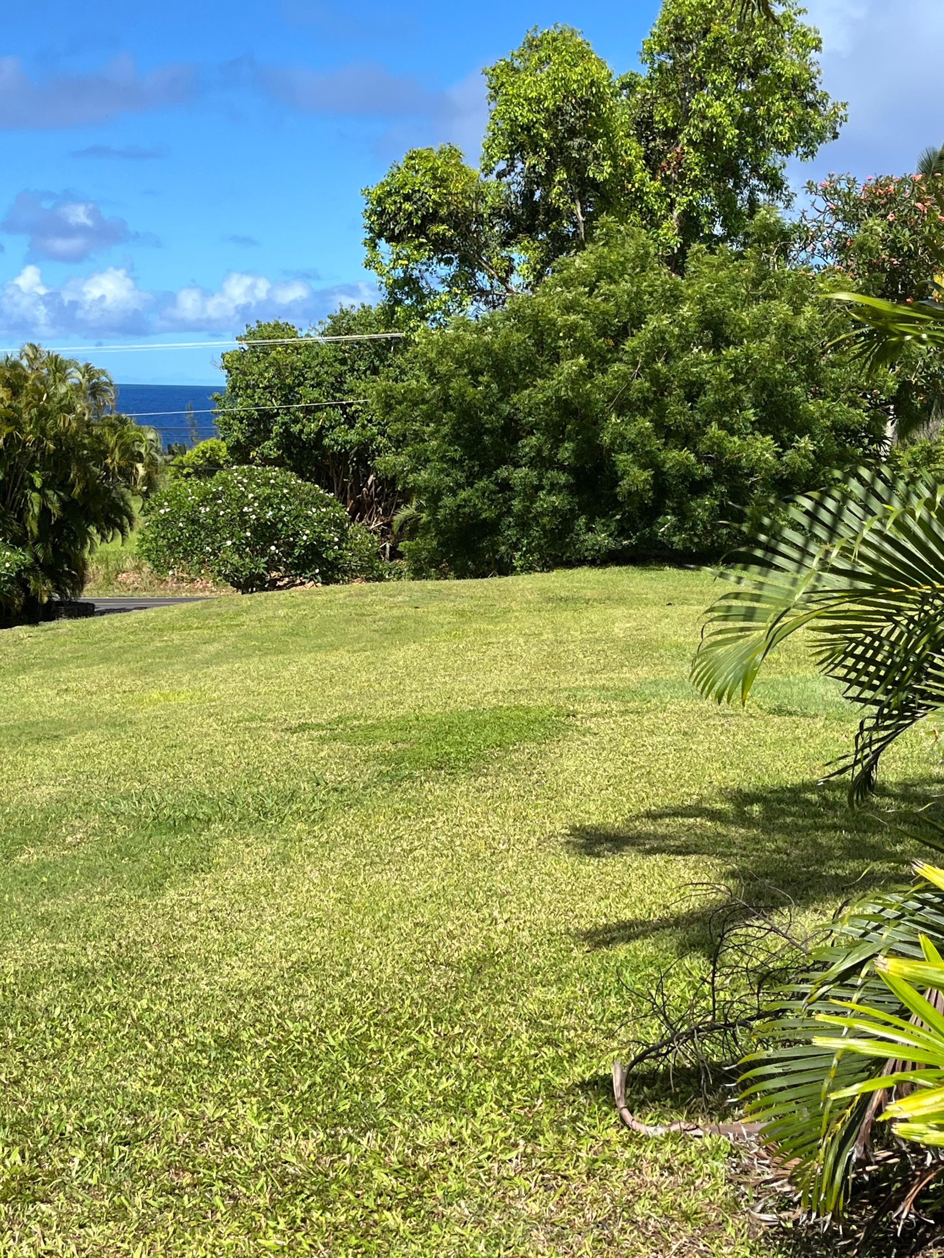 the view from the lanai