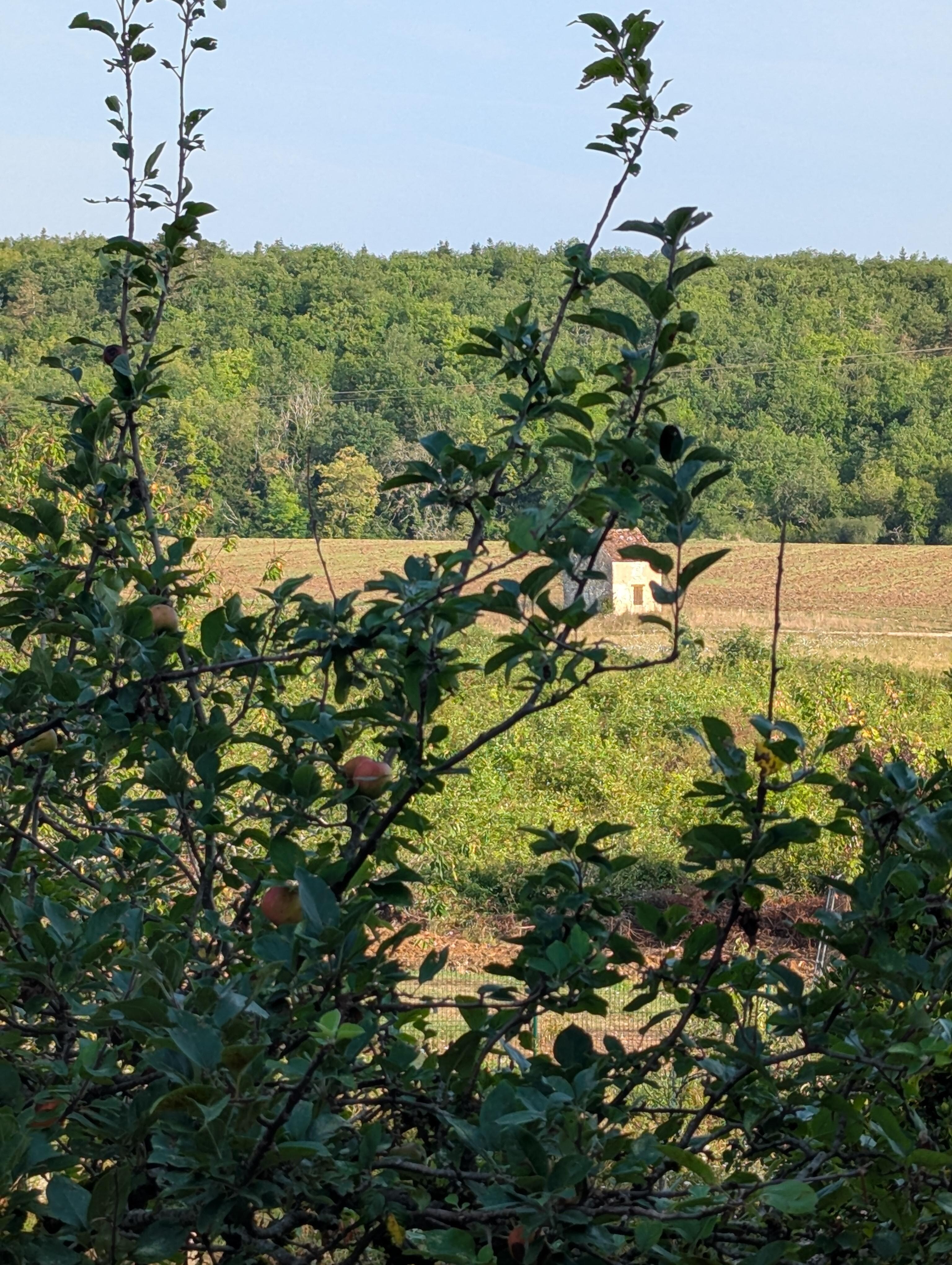 Vue de la chambre au premier étage 