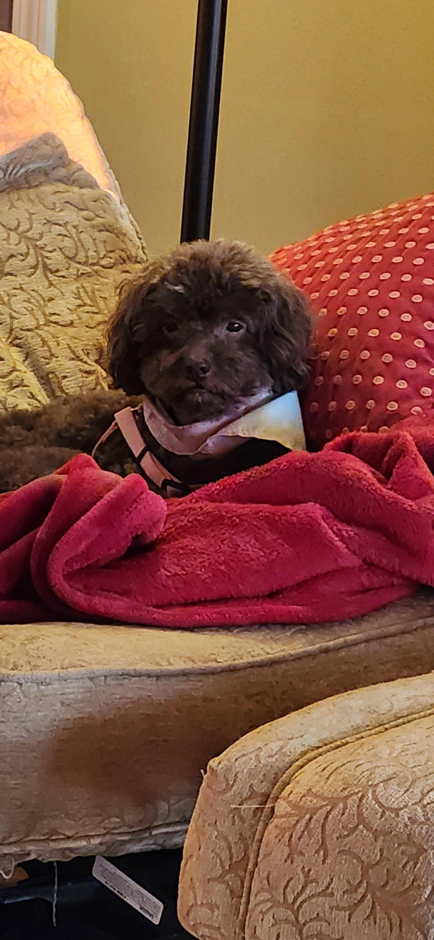 Precious Lilly!
