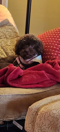 Precious Lilly!