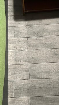 No sign of being swept or mopped