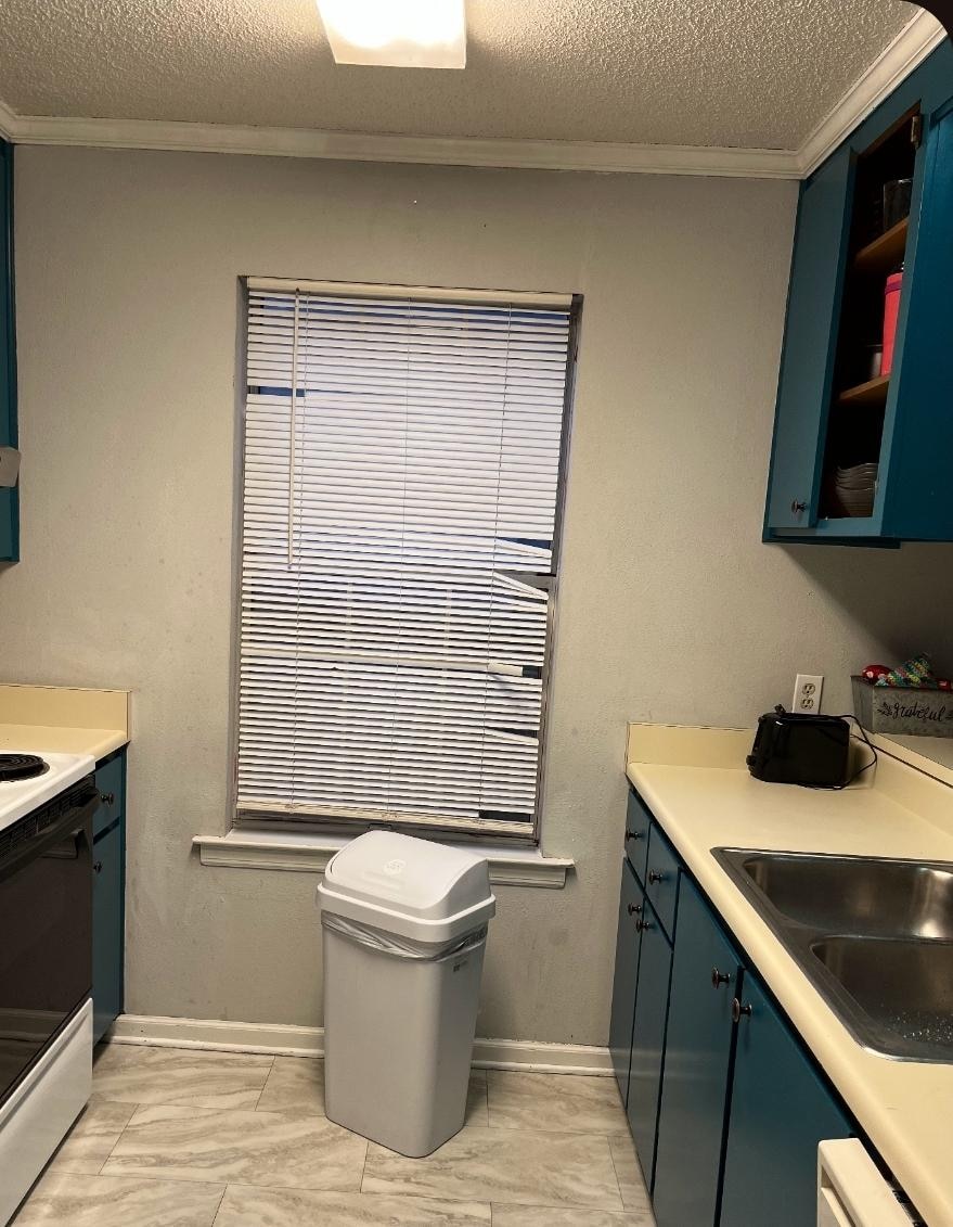 Kitchen blinds