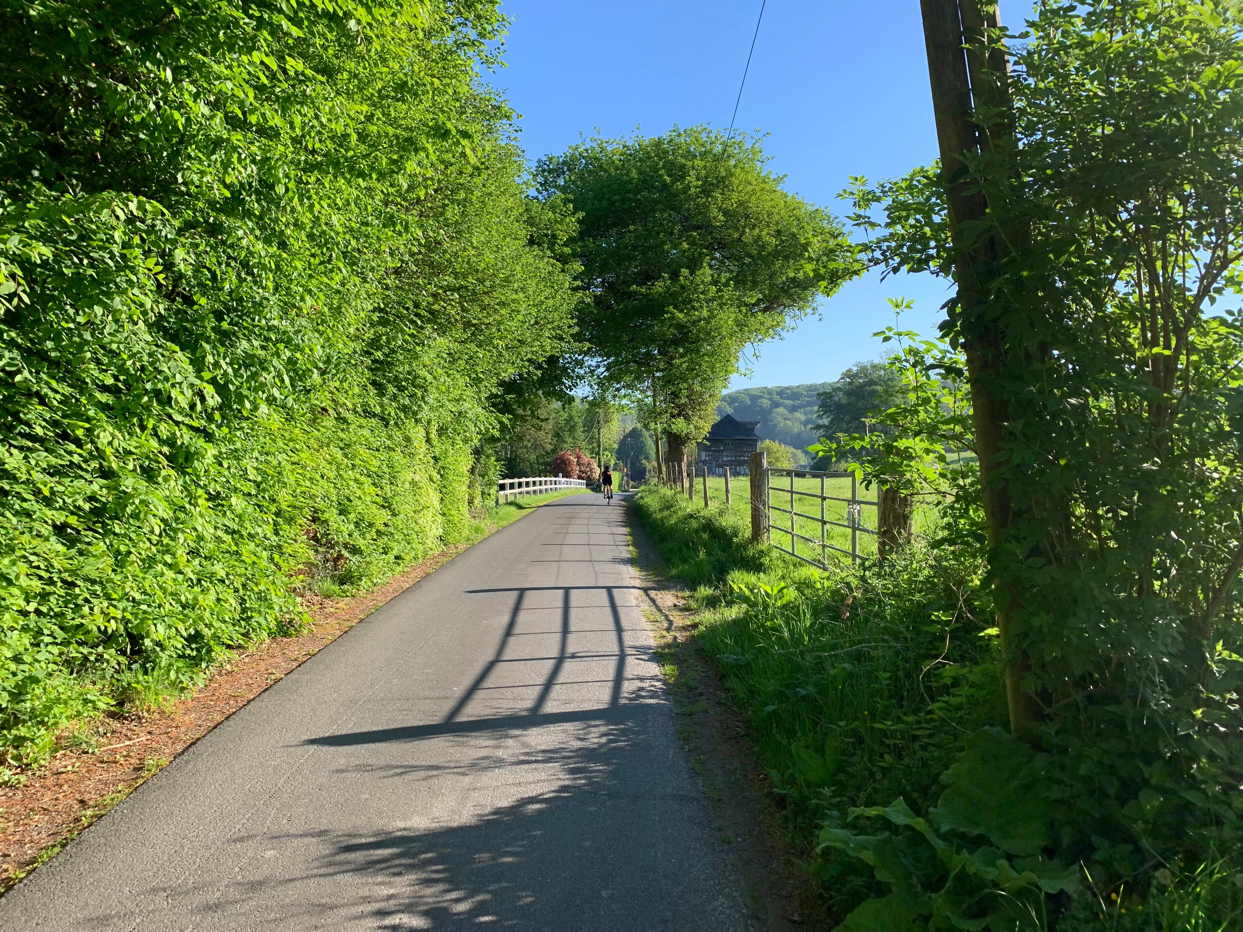 Fietsen in de buurt