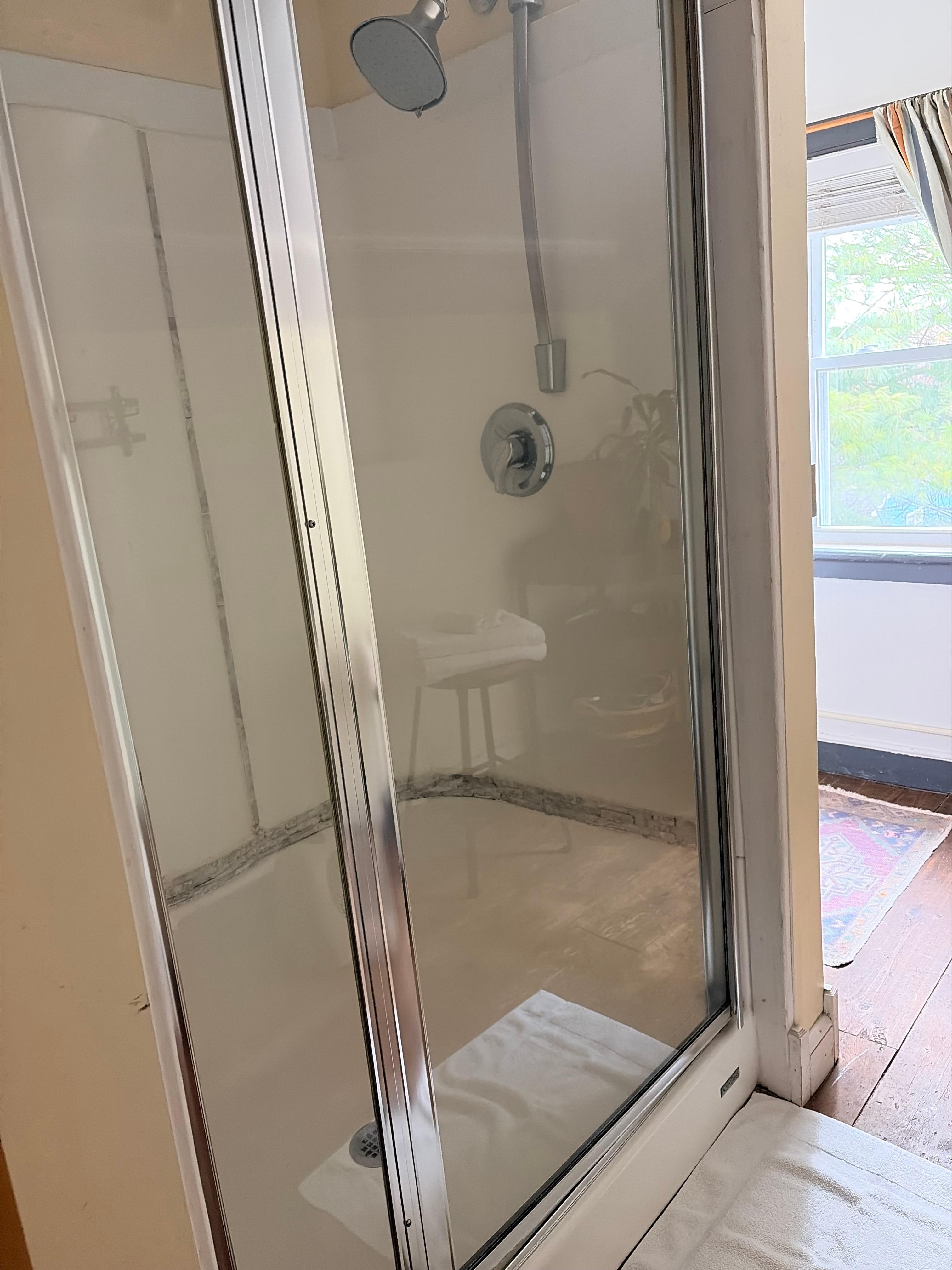 Hummingbird Suite Shower