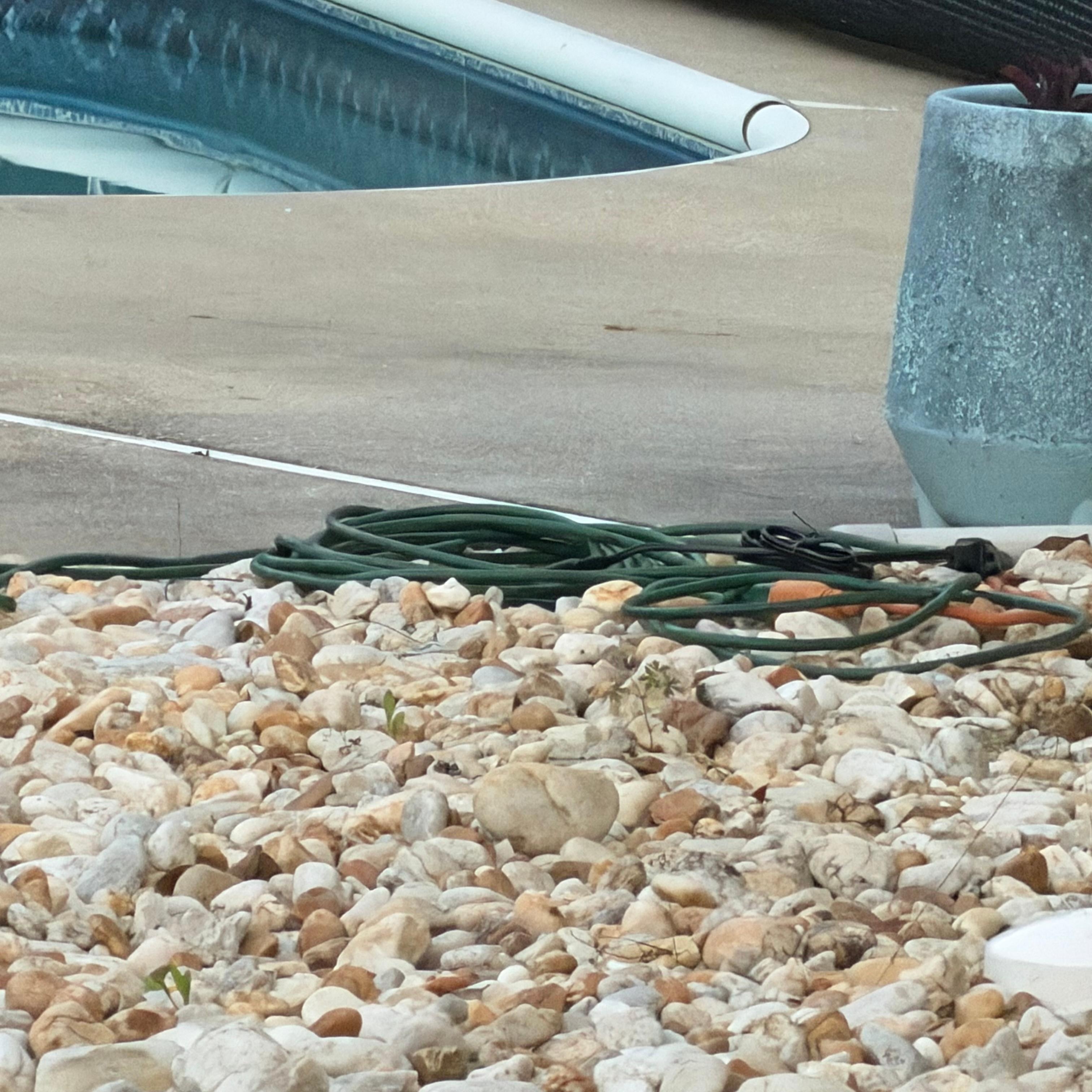 Electrical wires by pool