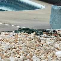 Electrical wires by pool