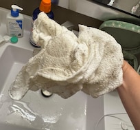 Ants cleaned up off the bathroom floor