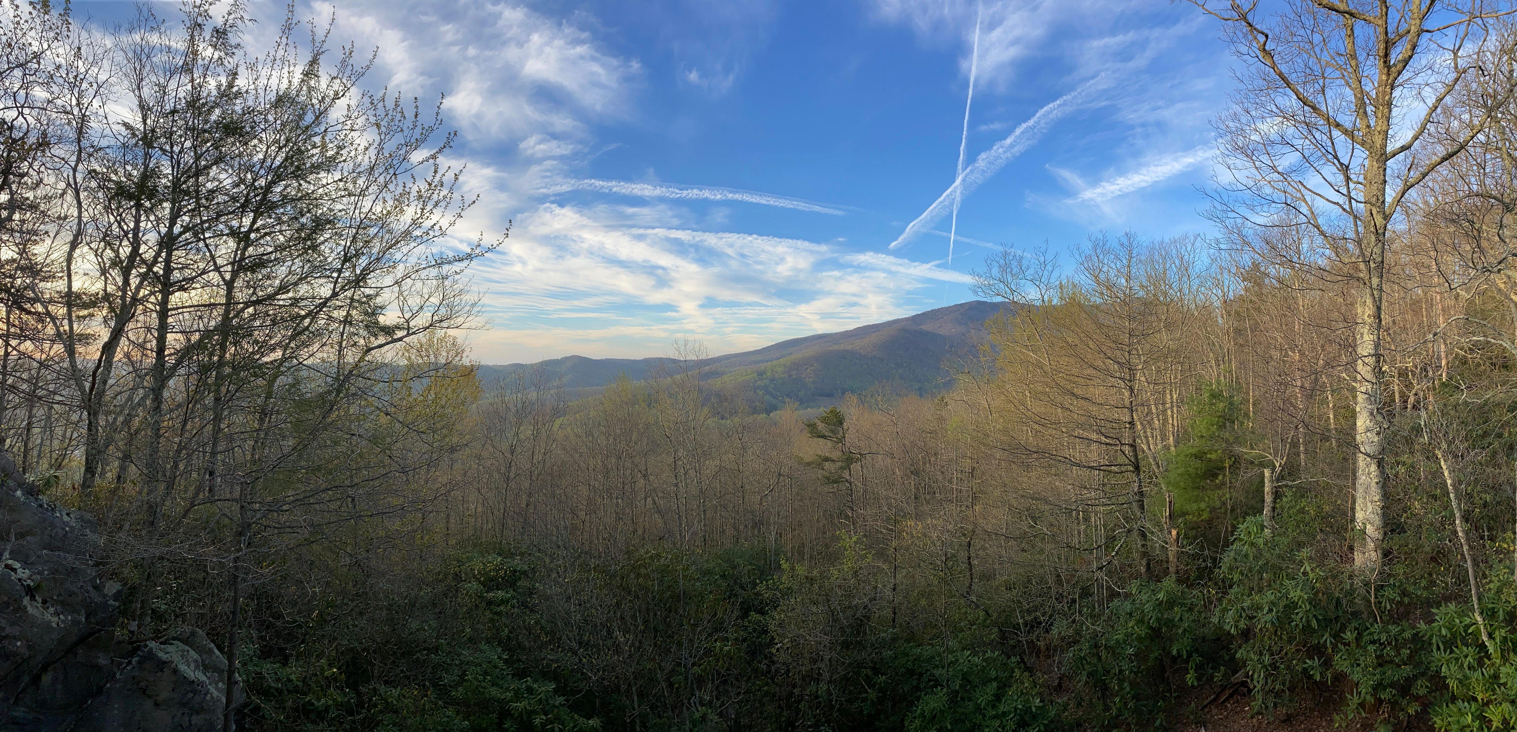 Sitting on the back deck. So very peaceful.  
