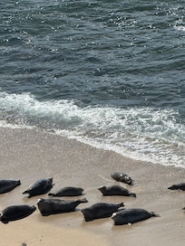 Fitzgerald Beach