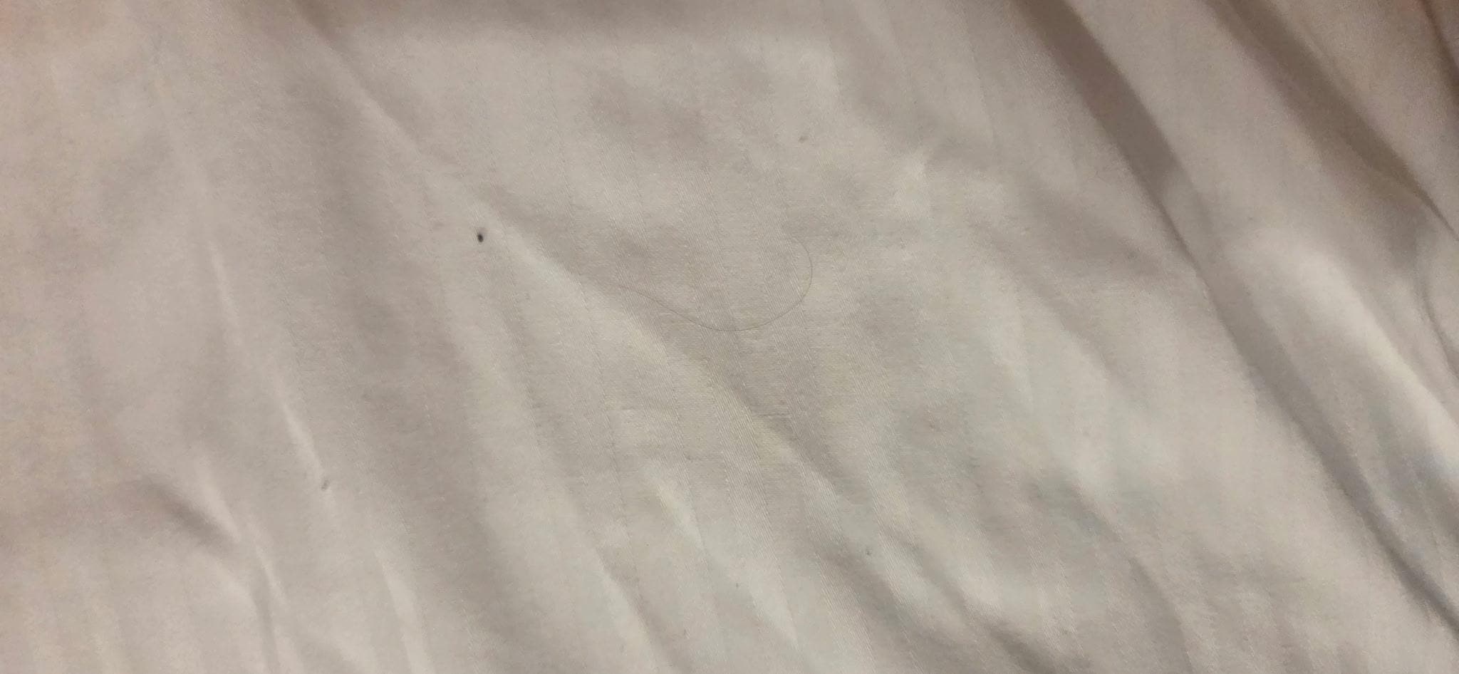 Hair and stains on the sheets of the bed