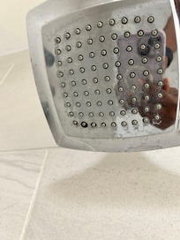 Mold on Shower head