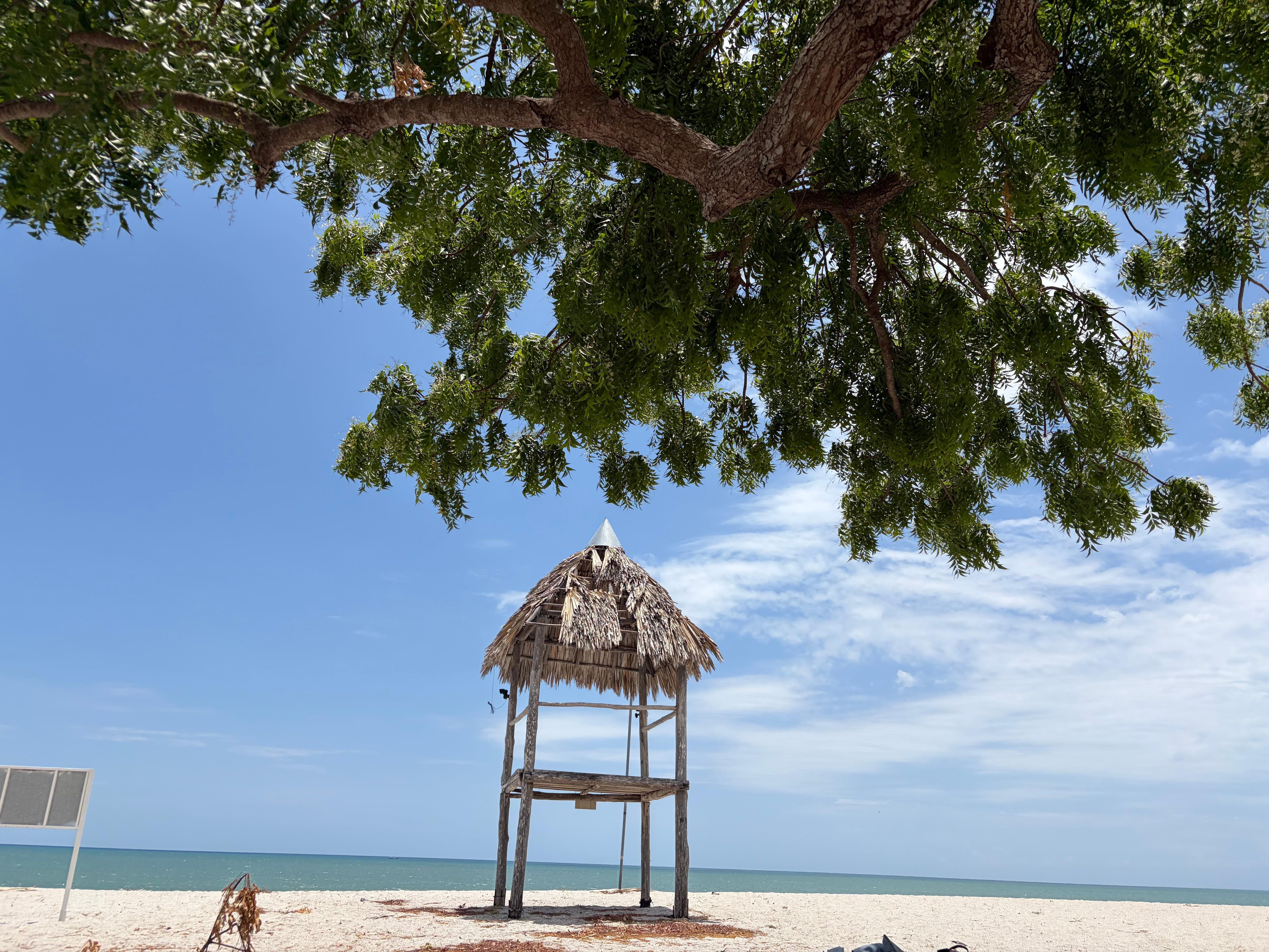 View of ocean from property line 