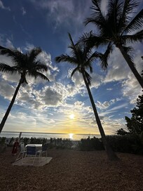 Coconut Trees lumbering over sea and sky