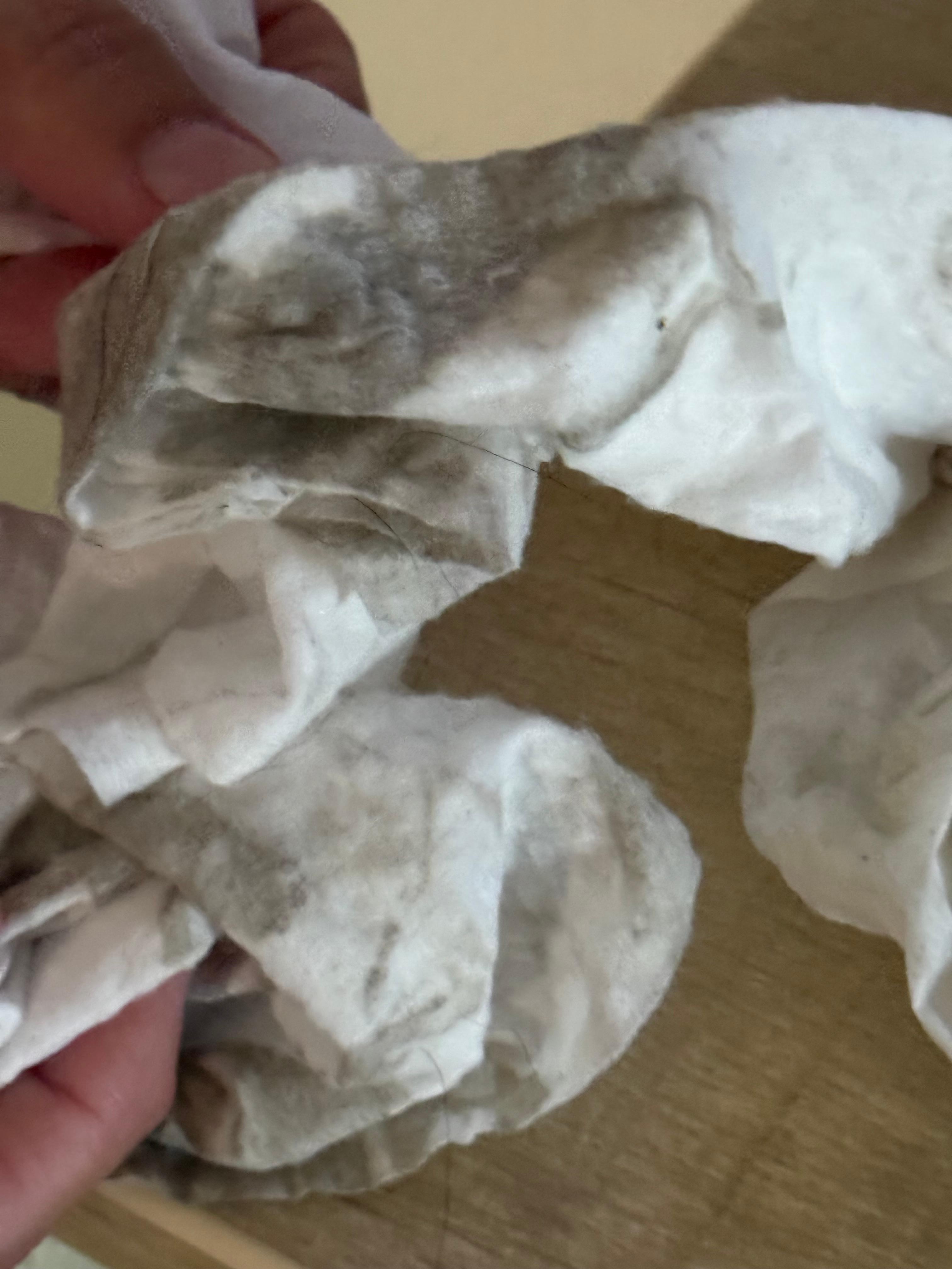 This is from when we cleaned up mess from floor