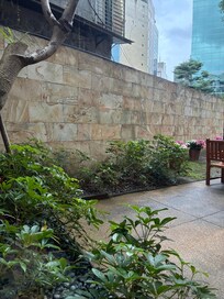 お庭も綺麗に手入れされてます。