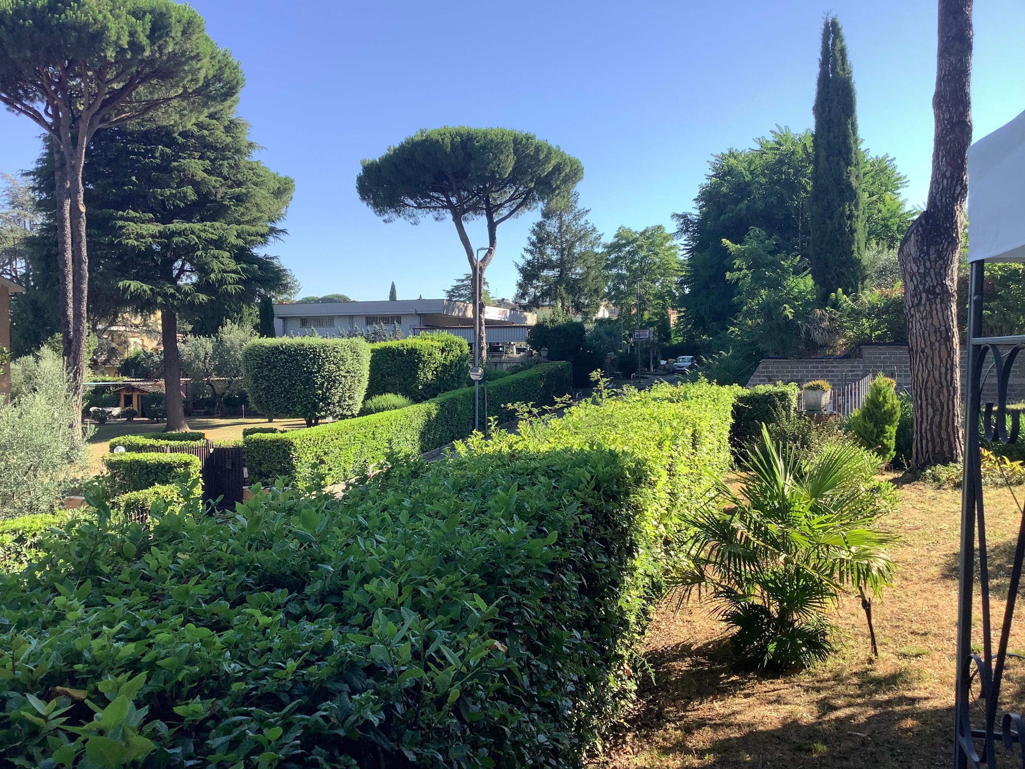 View from the garden, looking North East