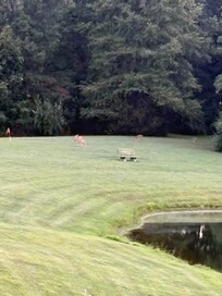 Mama and some babies