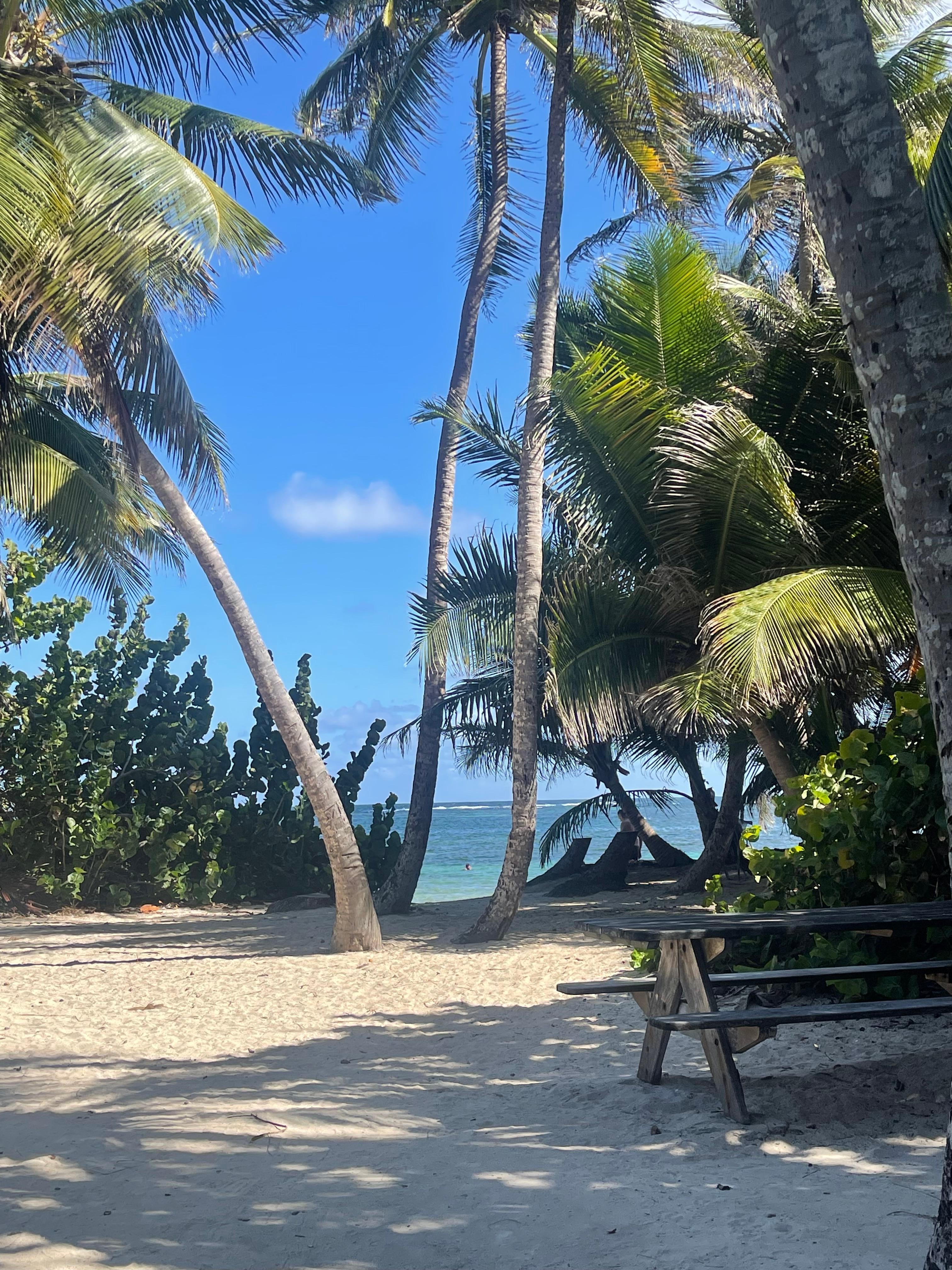 Plage des salines à 1/4 d’heure du Lodge 