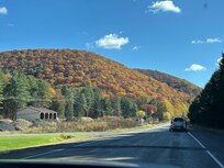 The leaves were perfect! Not pictured is the night sky - grandchildren were amazed at the universe in front of them.