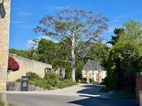 Looking from the Chateau toward the entrance gate.
