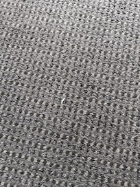 Toe nail