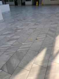 Bread on floor when I left for a meeting several hours later returned and bread still on floor