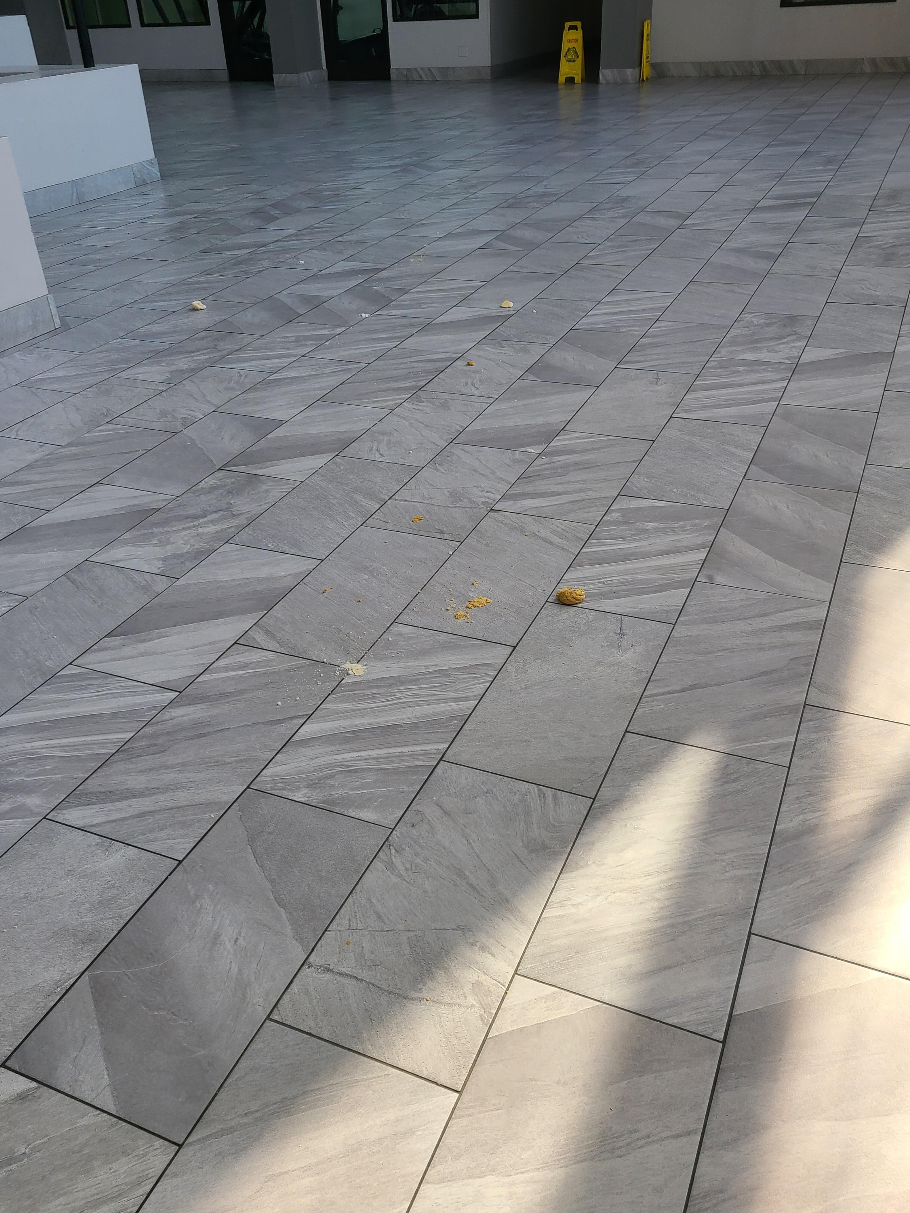 Bread on floor when I left for a meeting several hours later returned and bread still on floor